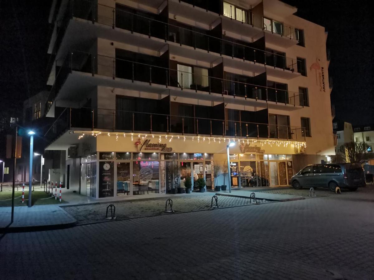Apartament Helena ミエンジズドロイェ エクステリア 写真